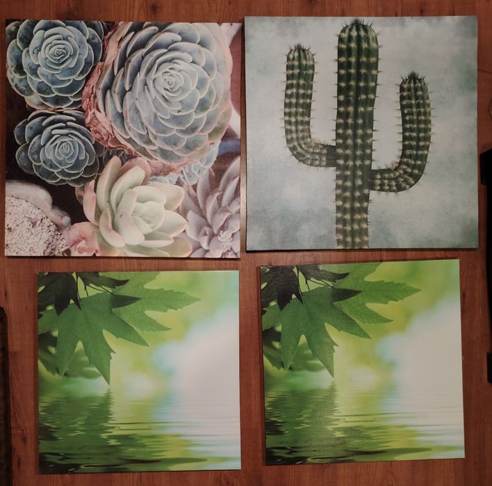Telas cactos e folhas