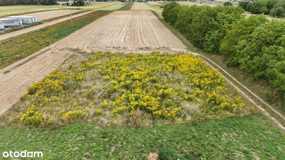 Działka 16,69 ar | Domiarki | budowlano-zagrodowa - Widok 5