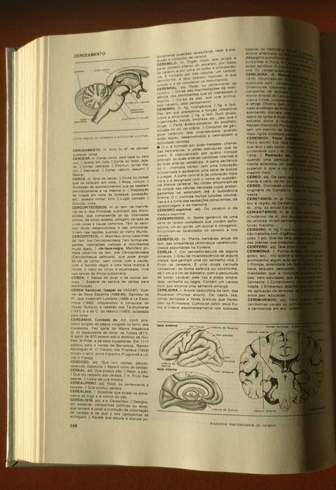 Dicionário Enciclopédico de Língua Portuguesa