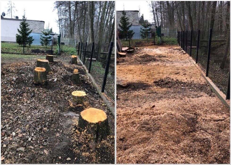 Wycinka i pielęgnacja drzew, frezowanie pni, usługi rębakiem