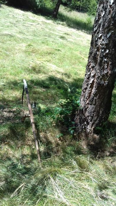 Działka rekreacyjna rolno-lesna własny kawał swiata