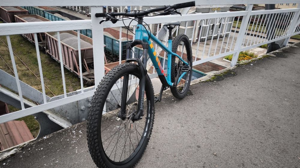 Trek roscoe 7 2024
