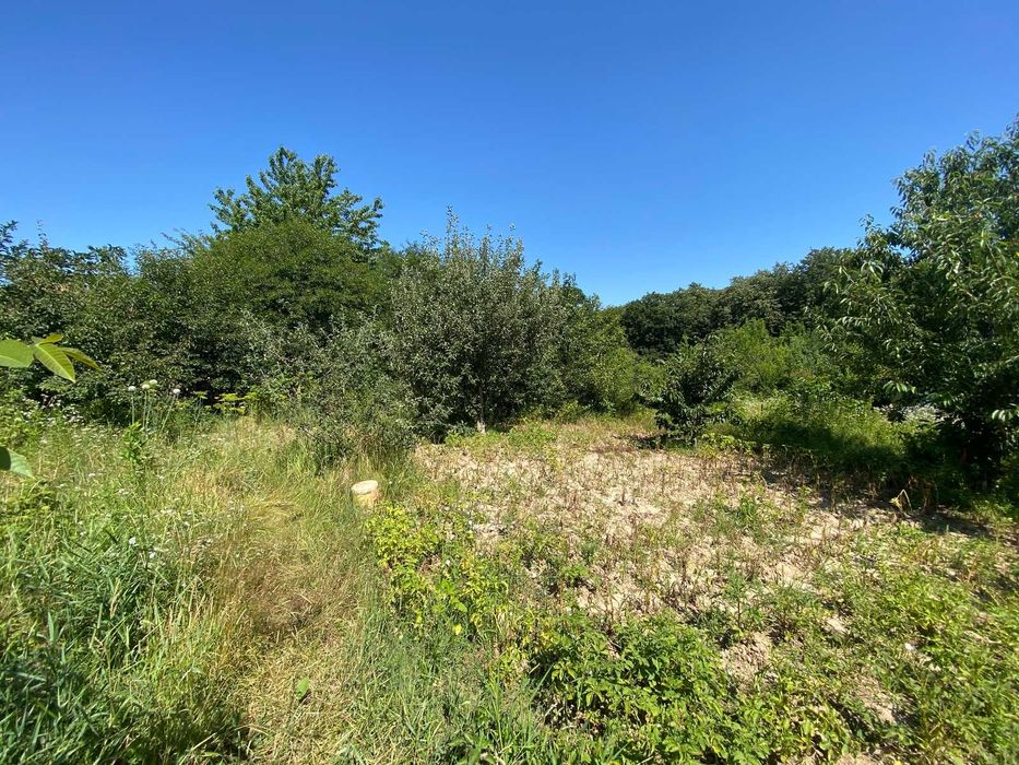 Продається земельна ділянка з криницею та плодовими деревами!