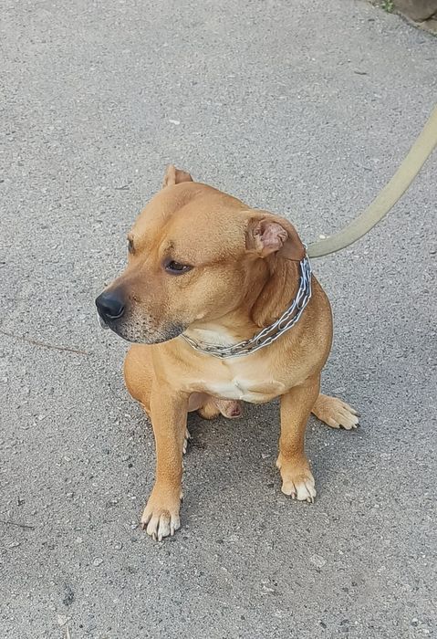 Хлопчик шукає дівчинку