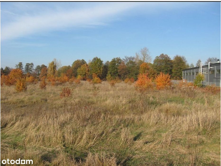 Działka 1,51 ha, SSE EURO-PARK MIELEC, ulga CIT – Pustków, Dębica - Więcej