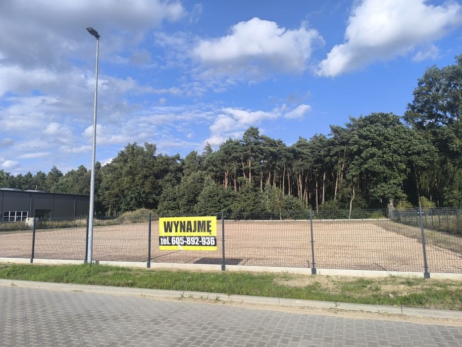 Zdjęcie 6