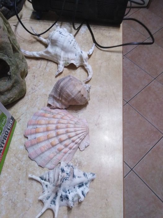 akcesoria do akwarium + stolik