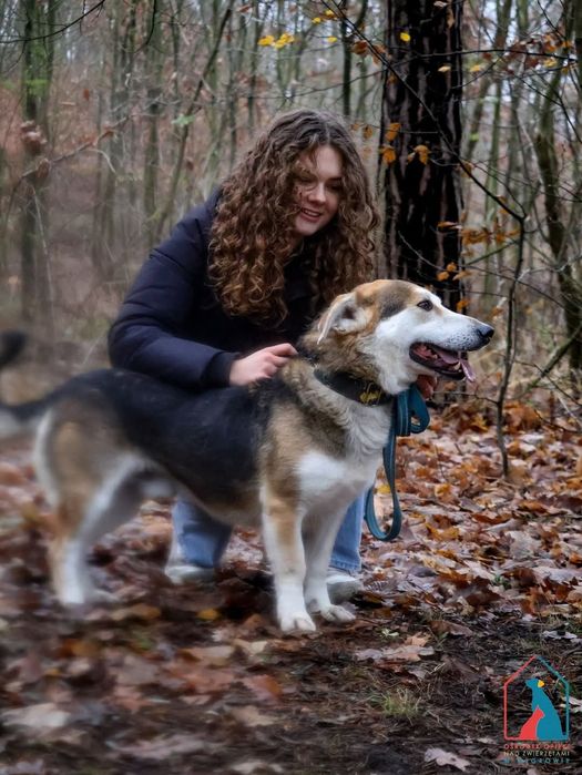 Astro 278/22 - SZUKA DOMU!