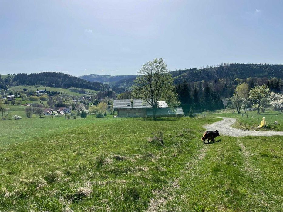 Sprzedam piękną działkę widokową w Górach Sowich