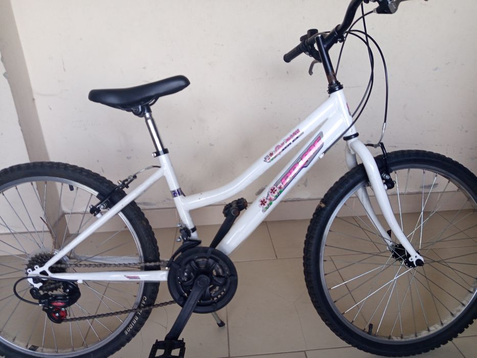 Duas bicicletas impecáveis