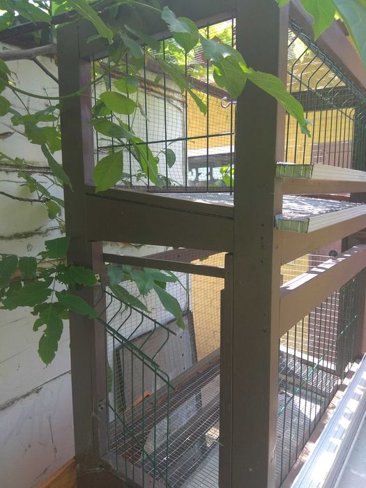 Клетка для кур несушек