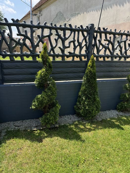 Usługi ogrodnicze-przycinanie tui, żywopłotów, koszenie, sprzatanie