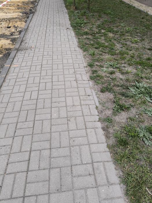 Kostka Brukowa Holand