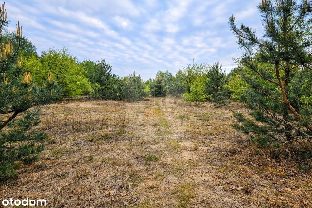 Pilna sprzedaż 6642m2 Malcanów