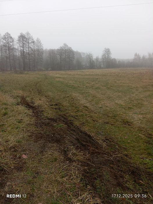 Działka budowlana w Cegielniku