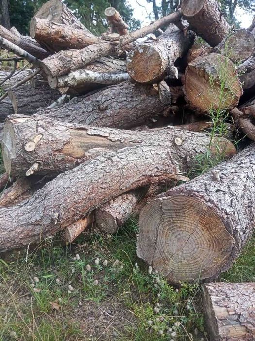 drewno opałowe suche sosna , brzoza, olcha, mieszane
