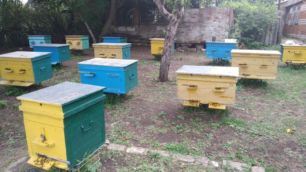 Продам ульи лежаки б/у.