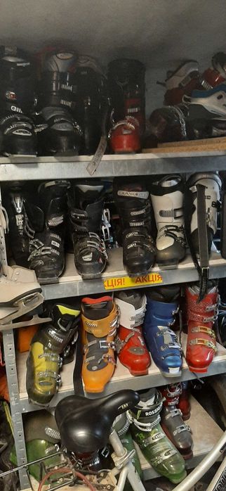 Гірські лижі, бігові, не дорого.