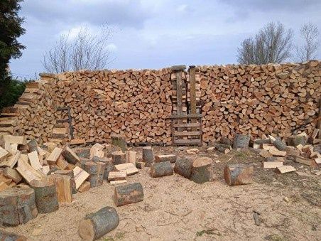 SUCHE &SUROWE Drewno opałowe