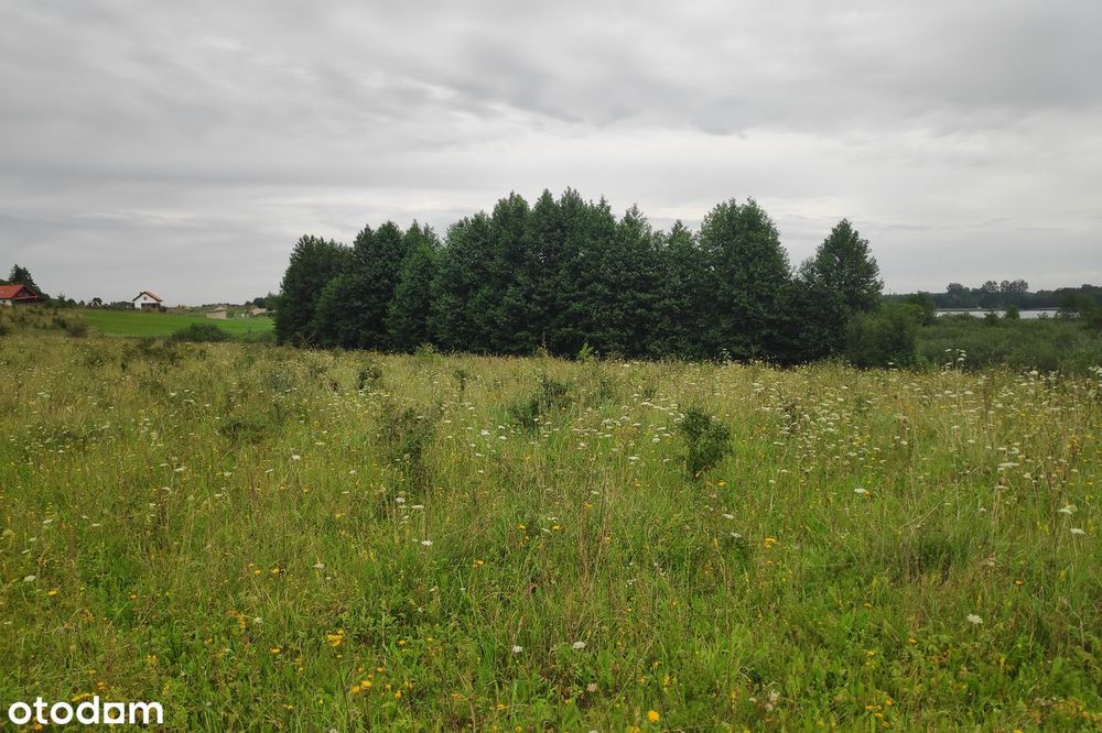 8968 m2 z linią brzegową- wyjątkowa działka nad jeziorem Dybowskim