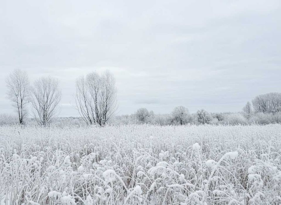 Продаж ділянки 164 сотки - ОСГ. Електрика - 1км. Біля річки. ID:758