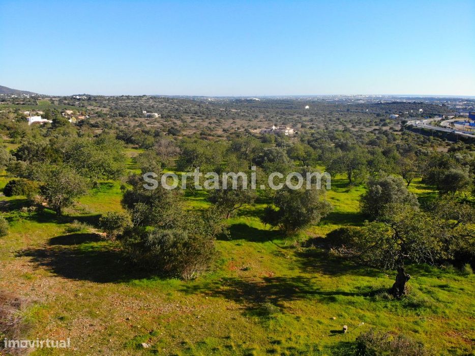 Lote de Terreno  Venda em Santa Bárbara de Nexe,Faro