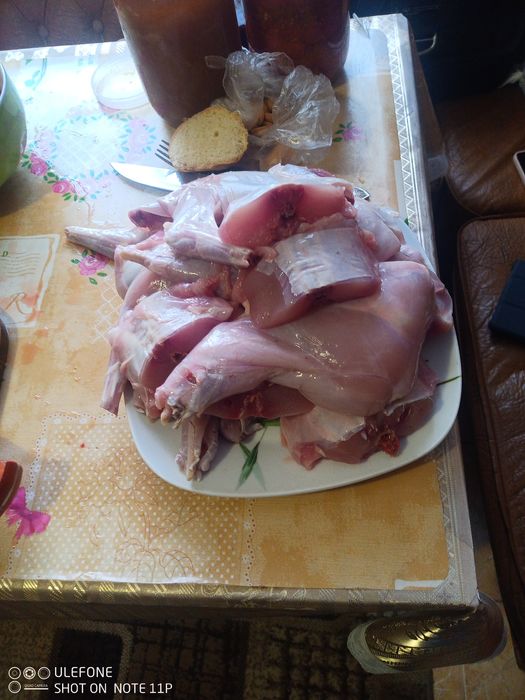 М'ясо кролика продаю