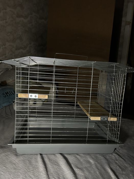 Клітки для гризунів , тхорів, крис