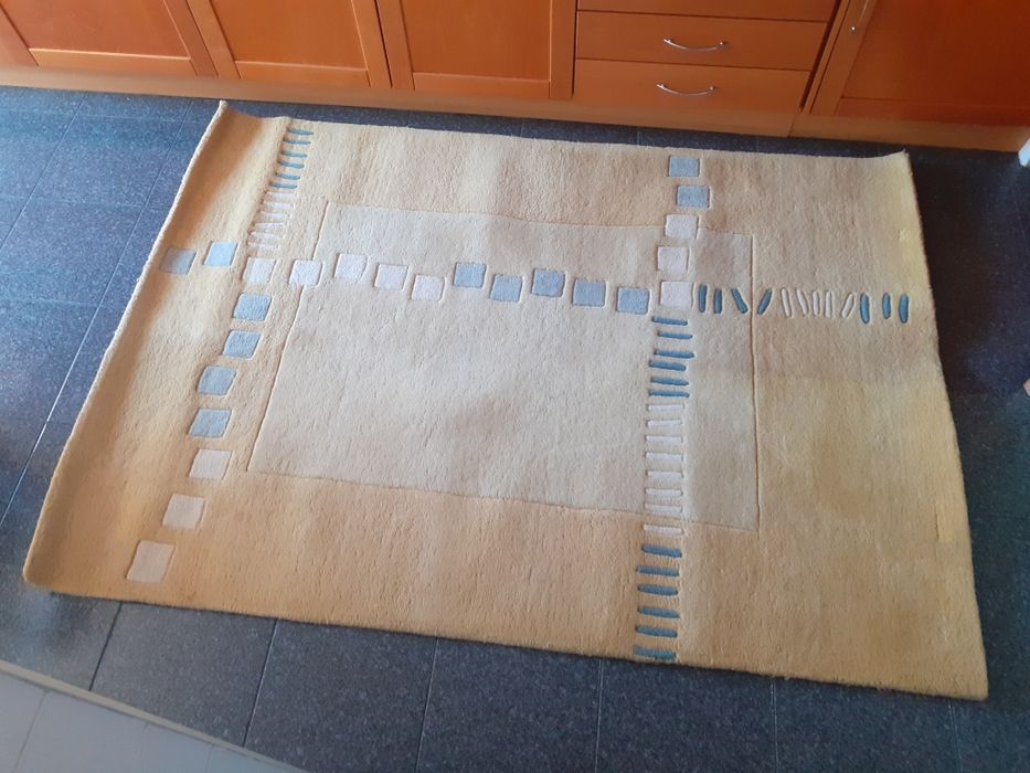 Carpete toda aos pêlos