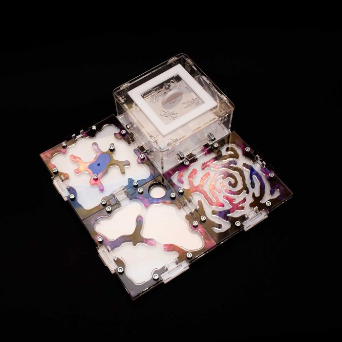 4М-М, Мурашина ферма Різдво Мурашник Формикарий Муравьиная ферма