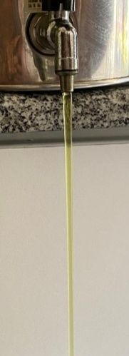 Azeite Novo  Ribatejano colheita 2025