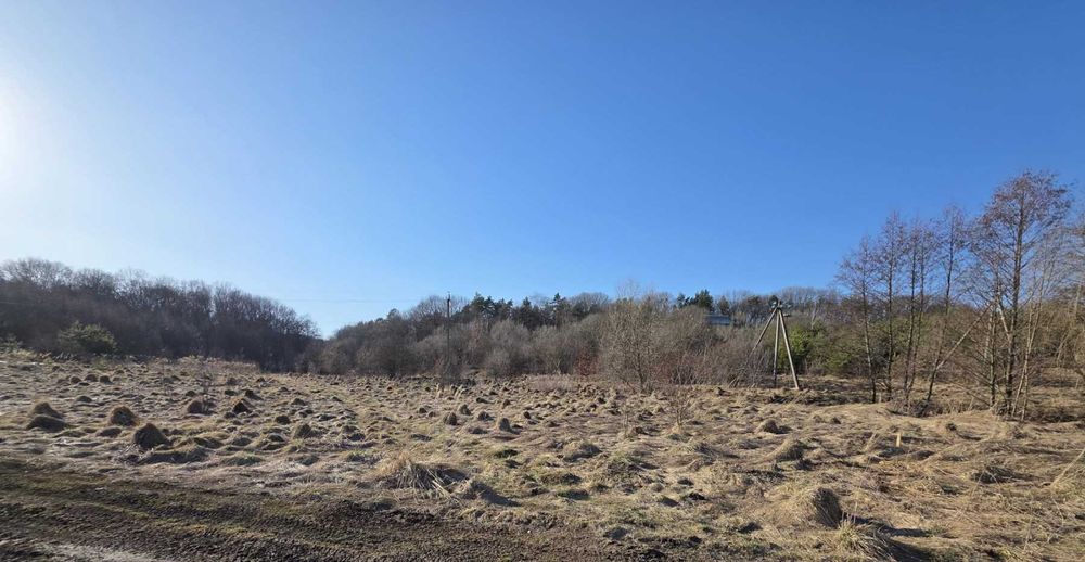 Ділянка с. Давидів під будівництво біля лісу 20 соток