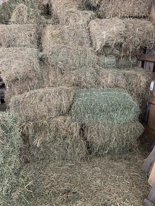 Тюки люцерни            .