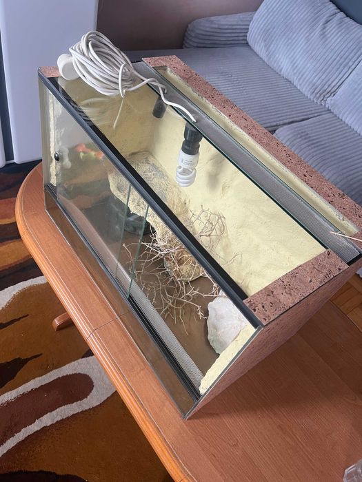 Terrarium dla gadów