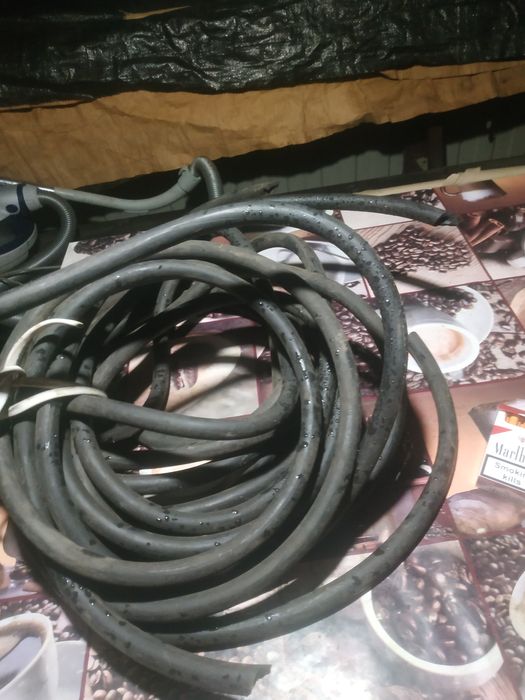 Шланг толстотелый