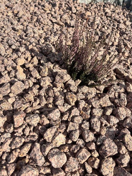 Granit ROSSA 16-22 czerwony ze Szwecji 400 zł/t