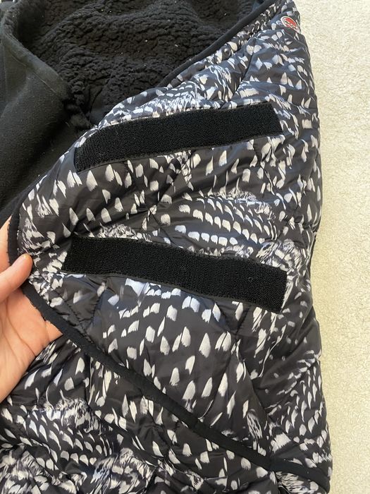 Spiwor spiworek Lodger zimowy 6 miesiecy 3 lata