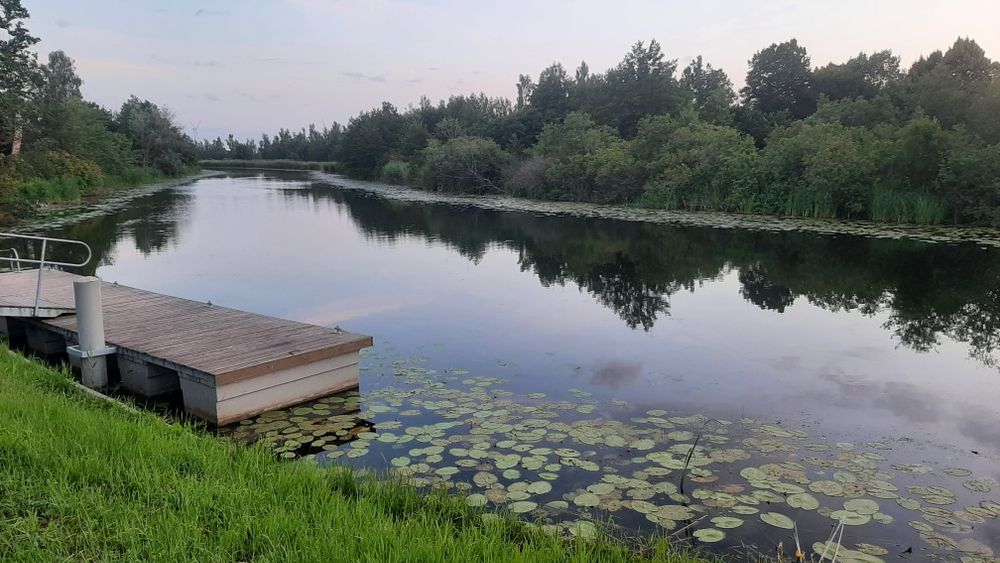 Sprzedam działka budowlana gm. Stegna w miejscowości Tujsk. - Widok 2
