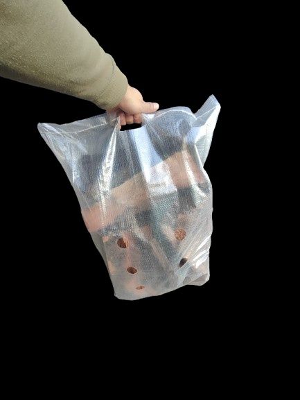 Madeira & carvão Alentejo