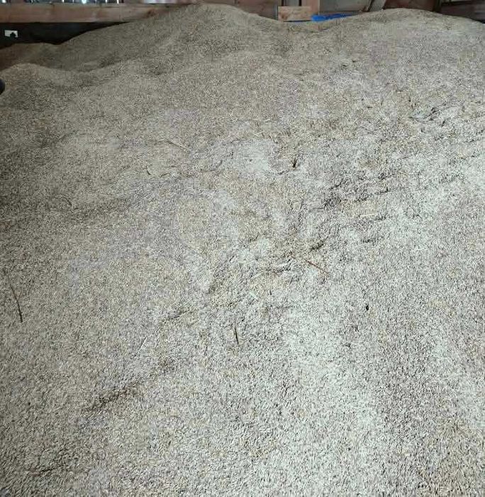 sprzedam mieszankę owsa z pszenicą