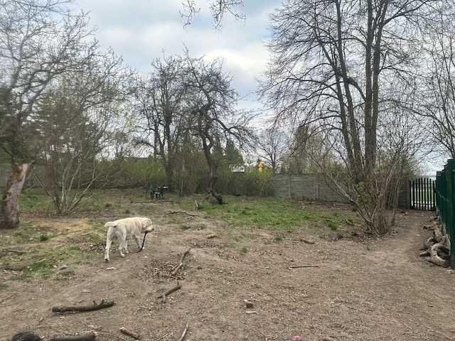 Wynajmę  hotel dla psów