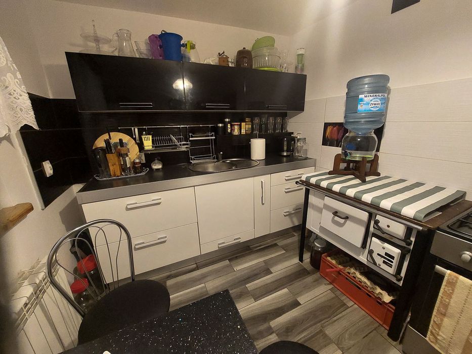 Domek do wynajęcia - Zygmuntówka w lesie!