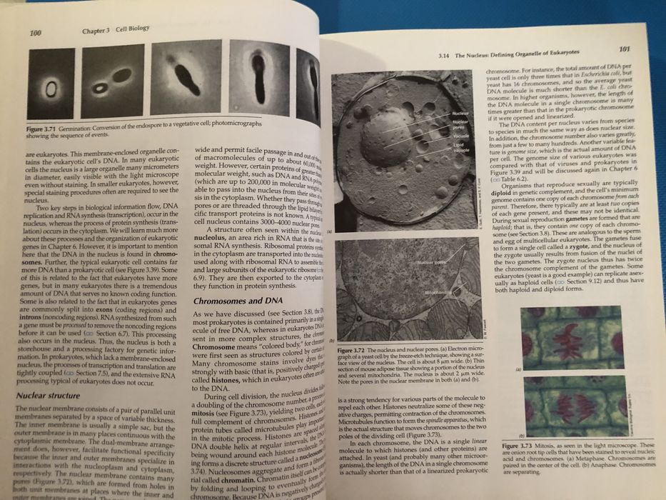 Biology of microorganisms, 8 edition