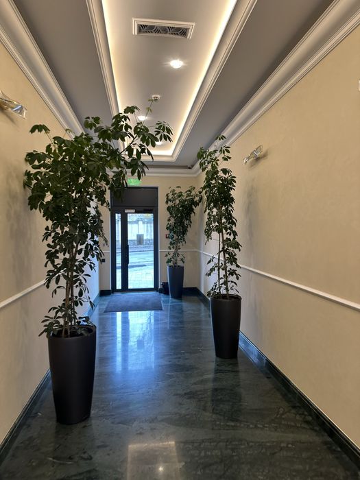 Многокомнатная квартира по адресу Куликово поле пл. (площадь 201 м²) - Atlanta.ua - фото 8