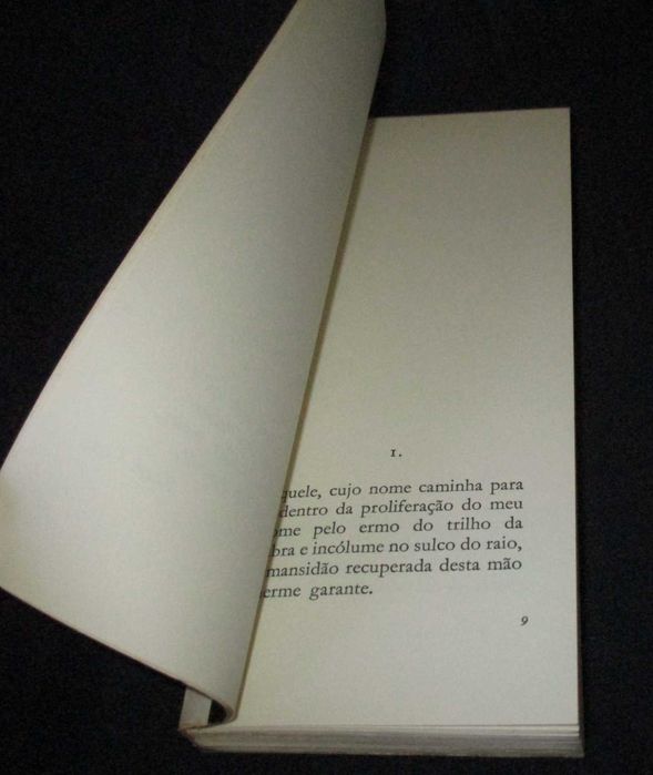 Livro Da Rosa Fixa Maria Velho da Costa 1ª edição Moraes