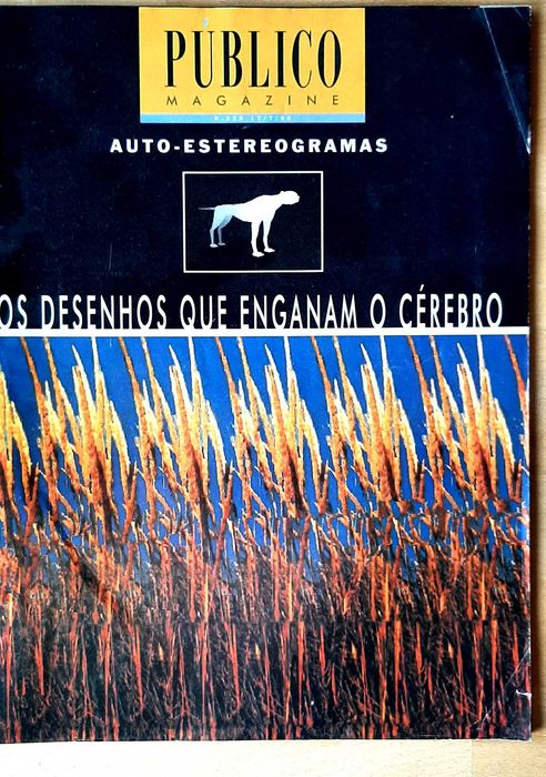 Público Suplemento 1994 Imagens 3D, Lobo Antunes