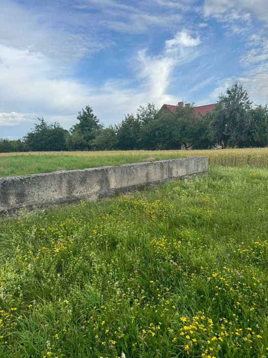 Земельна ділянка с. Боянець