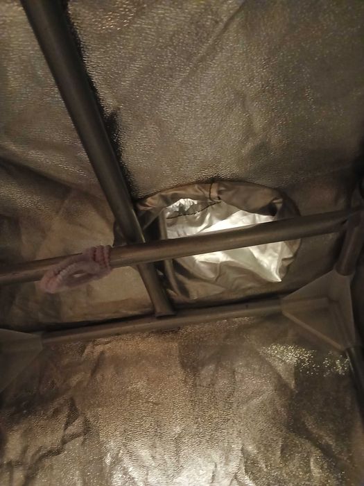 Growbox  namiot do uprawy roślin