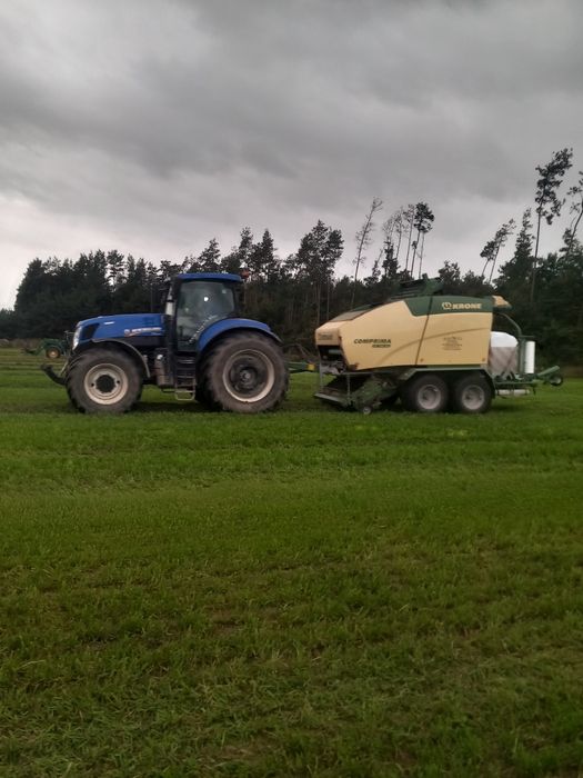 Sprzedam bele lucerny