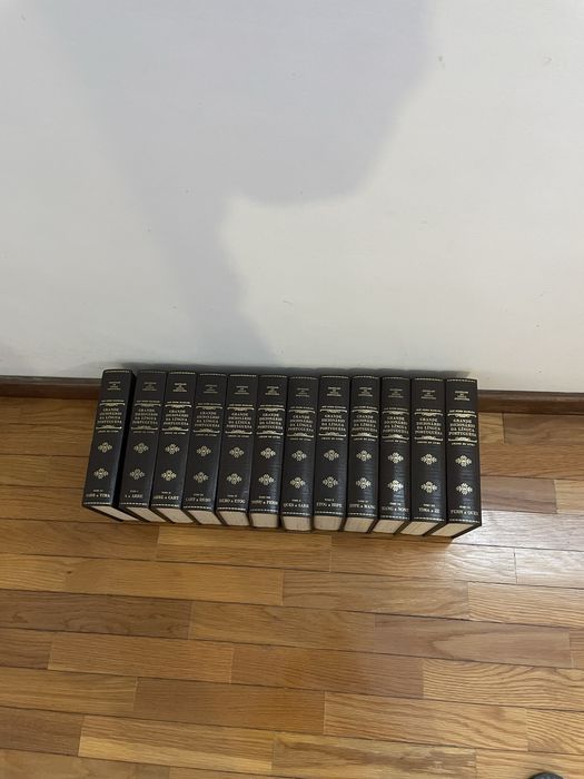 Vendo esta Dicionario da Lingua Portuguesa de 12 volumes
